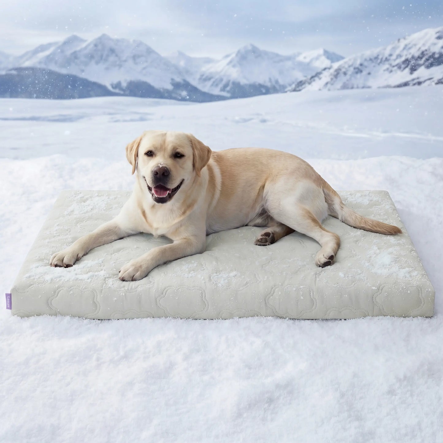 Bedsure Cooling Pet Mat – Washable Non-Slip Summer Cooling Pad for Dogs & Cats