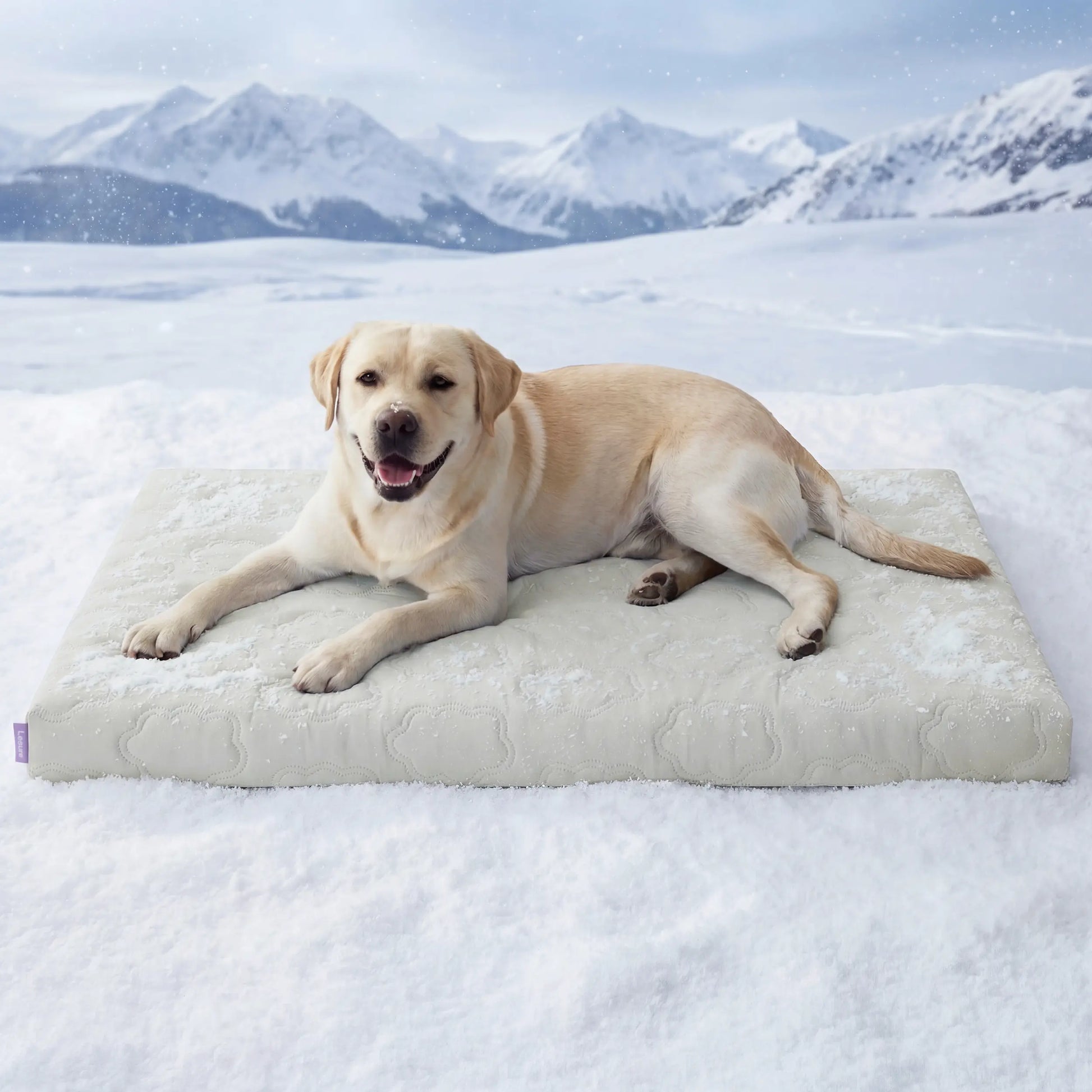 Bedsure Cooling Pet Mat – Washable Non-Slip Summer Cooling Pad for Dogs & Cats