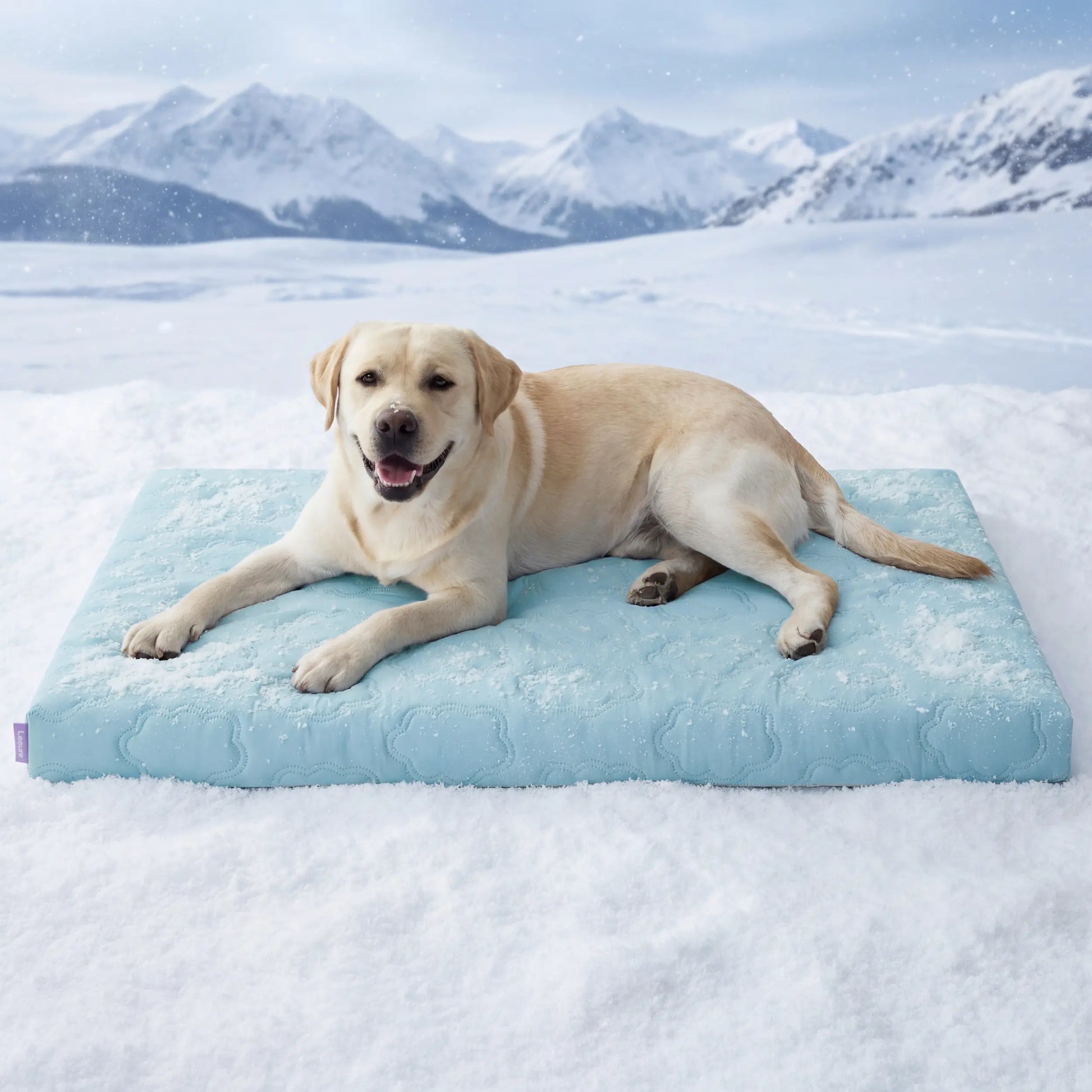 Bedsure Cooling Pet Mat – Washable Non-Slip Summer Cooling Pad for Dogs & Cats